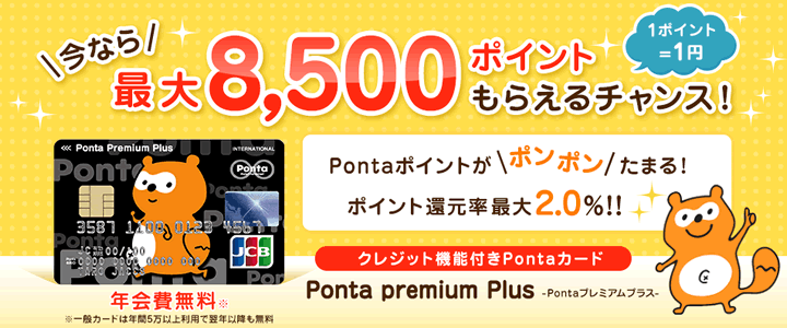 ジャックス ポンタプレミアムプラス（リボ専用カード）の特徴1