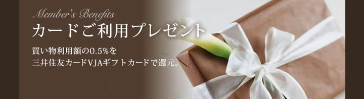 三井住友VISAプラチナカードの会社概要