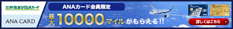 空飛ぶあなたにこの1枚。ANAワイドカード